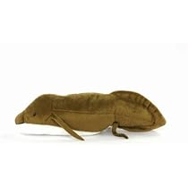 313zR9oU9JL._AC_UL210_SR210,