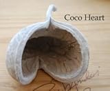 ~Coco Heart~　ブッダナッツ　ウオッシュホワイト　M （ナチュラル雑貨　母の日　ハンドメイド　木の実・ドライフラワー）