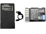 WELLSKY DMW-BLF19 / BP-61 / DMW-BLF19E 互換バッテリー 1個 + DMW-BTC10 DMW-BTC13 / BC-61 超軽量 バッテリーチャージャー USB Type C 互換充電器 1個 [ 純正品と同じよう使用可能 純正充電器で充電可能 残量表示可能 ] パナソニック ルミックス シグマ