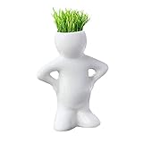 Zhaozheかわいい 観葉植物 卓上 鉢植え 人形型 インテリア デコレーション 種子付き 誕生日 ギフト 贈り物
