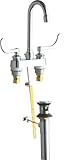 Chicago Faucets 894-317XKABCP Lead-Free Deck-Mounted Utility Faucet with Pop-Up, 3.5" Gooseneck, Wri