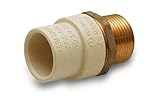 Everflow Supplies鉛フリーにアダプタ継手真鍮オスとA CPVC接続 3/4 inch BRCPM034-NL 1