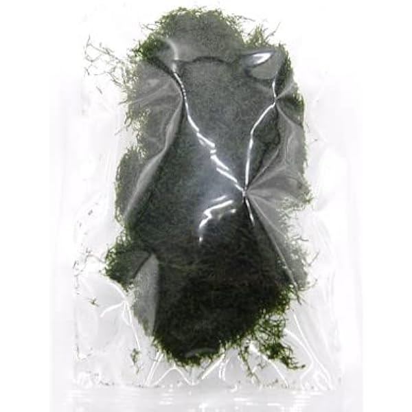 Amazon.co.jp: 糸青のり（すじ青のり） 8g あおのり アオノリ