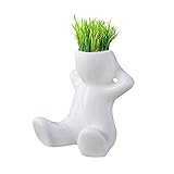 Zhaozheかわいい 観葉植物 卓上 鉢植え 人形型 インテリア デコレーション 種子付き 誕生日 ギフト 贈り物