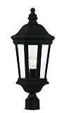 Trans Globe Lighting 40403 BK Chateau Villa Post Lantern, 22, Black by Trans Globe Lighting