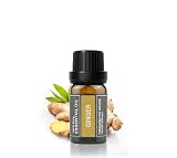 Cywinfow ジンジャー精油 アロマオイル 100％天然植物由来 ジンジャーエッセンシャルオイル 10ml (標準サイズ)