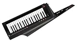 KORG（コルグ）キーター シンセサイザー ステージキーボード 電池駆動 RK-100S 2BK トランスルーセント・ブラック