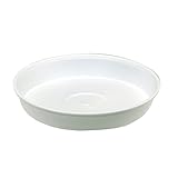 東京堂 フラワー資材 浅皿6号 (10コ入り) GS008932-001