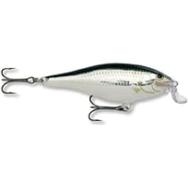 Amazon.co.jp: Rapala(ラパラ) シャッド シャロー シャッド