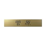 丸三タカギ 彫り込み済表札 アクリル APB2-G-1-1-菅原 【完成品】