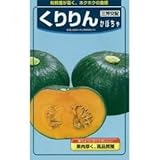 かぼちゃ 種 【 くりりん 】 種子 200粒