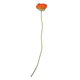 Select Artificials Artificial Poppy Flower Decorative Floral Crafting Stem 34 Orange [並行輸入品]