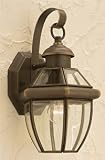 Forte Lighting 1101-01-14 Traditional 1-Light Exterior Wall Lantern, Royal Bronze Finish with Clear 