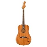 Fender フェンダー エレアコ Highway Series™ Dreadnought, Rosewood Fingerboard, All-Mahogany ギグバッグ付属