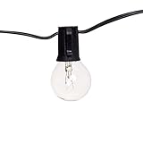 GreenLighting Globe String Lights for Patio - 15 Bulb 33 Foot SPT-1 18AWG Lights (Black) [並行輸入品]