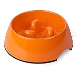 SuperDesign スロードッグフィーダーボウル 小 ブルー