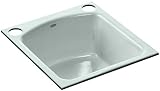 Kohler K-5848-2U-FE Napa Undercounter Entertainment Sink with Two-Hole Oversized Drilling, Frost [並行