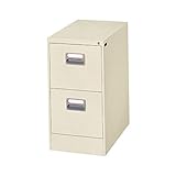 ダイシン工業 ファイリングキャビネット A4-2N A4判2段 生活用品 インテリア 雑貨 インテリア 家具 オフィス家具 オフィス収納 top1-ds-1325036-ak [簡易パッケージ品]