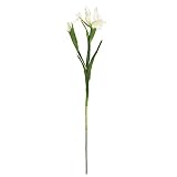 MAGIQ 東京堂 上質な造花  やまとあやめ  ホワイト FM007519-001