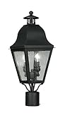 Livex Lighting 2552-04 Outdoor Post with Seeded Glass Shades, Black [並行輸入品]