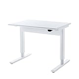 昇降デスク(W1000)ガス圧式　W1000×D700×H704〜1134mm　サンワサプライ　ERD-GA10070W　（納期お問合せください）