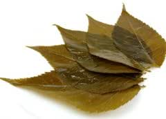 Amazon 桜 桜の葉 塩漬け Mサイズ 50枚 食品 飲料 お酒 通販