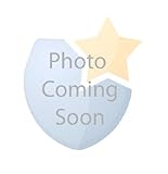 Msa Safety Works 10038845 Sierra Safety Glasses by MSA