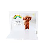 ペット仏壇 折りたたみ式スタンド メモリアルハウス フルカラープリント オリジナル 写真入り ペットロス ペット供養 (レインボー)