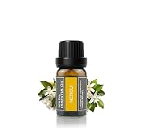 Cywinfow ネロリ精油 アロマオイル 100％天然植物由来 ネロリエッセンシャルオイル 10ml(標準サイズ)