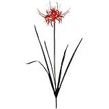 Amazon Co Jp B4 彼岸花 塚本貞子のダイヤモンドアート Kic Tei76 2 62 全面貼り付け 257mm 364mm 四角型 Square ビーズアート 手芸キット ホビー