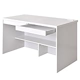 (DORIS) パソコンデスク 【ロータス ホワイト】 デスク 天板鏡面仕上げ 足元収納 引き出し付き コンセント2口 幅120cm 組み立て式 (ホワイト)
