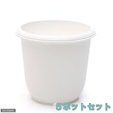KUポット 3.5号(外径10.6×高さ9.5cm) 白 5鉢セット