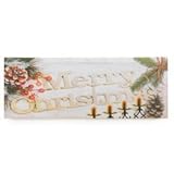 Home Decor Merry Christmas LED Wall Art [並行輸入品]