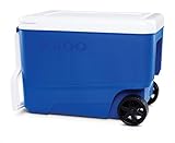 igloo(イグルー) ウィリークール 38 (36L) ブルー #34482 幅58×奥行33×高さ40cm