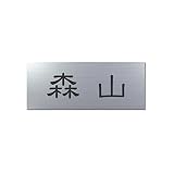 丸三タカギ 彫り込み済表札 アクリル APA1-S-1-1-森山 【完成品】