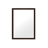 メイクアップミラー、流域/壁掛け/バスルーム/クリエイティブ/長方形/プラスチック/ドレッシングミラー/リビングルーム/ベッドルーム40-80CM (色 : Retro red, サイズ さいず : 