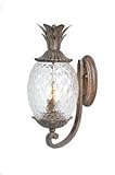 Acclaim 7501BC Lanai Collection 2-Light Wall Mount Outdoor Light Fixture, Black Coral [並行輸入品]