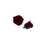 florever　フロールエバー　フレッシュルックベイビーローズ　ワイン　12輪　Φ2.5～3.5cm　 プリザーブドフラワー　Baby Rose　Wine