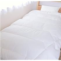 Amazon｜テイジン 防ダニ 2枚合わせ 掛け布団 ミクロガード