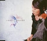 ���F�̐���