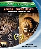 AFRICAS SUPER SEVEN �A�t���J�̔e�ҒB