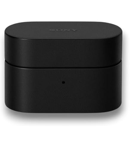 SONY イヤホンケース ブラック Amazon | For ソニー(SONY) WF-1000XM6 用 ケース カバー 【NOUKAJU