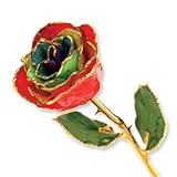 Long Stem Dipped 24 Kゴールドトリムジプシー虹ローズinギフトボックス