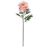 MAGIQ 東京堂 上質な造花  連鶴ぼたん   ピンク FM009979-002