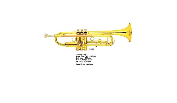 かわいい 日本初上陸axis 限定 トランペットtr 6331 本体 Labelians Fr