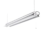 Lithonia Lighting 1242ZG RE 2-Light T8 Strip Fluorescent All Season Shop Light, 4-Feet [並行輸入品]