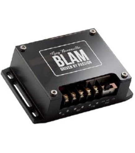 Amazon.co.jp: BLAM(ブラム) Live Series サブウーファー LS P20 1本