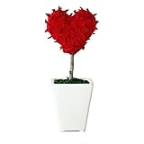 KOBE Flower smith ReiRi　プリザーブドフラワー ハートピアリー レッド 送料無料