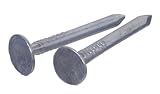 The Hillman Group 42041 Galvanized Roofing Nails, 1-Inch, 100-Pack by The Hillman Group