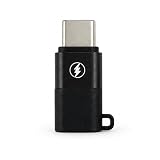 QISI Type-CオスからLightningメス 変換アダプタ 1個 充電専用 USB (Type-CオスLightningメス)